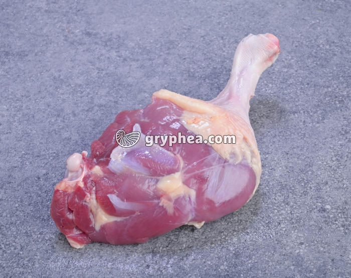 HN 41004 Cuisse de canard - gryphea.com